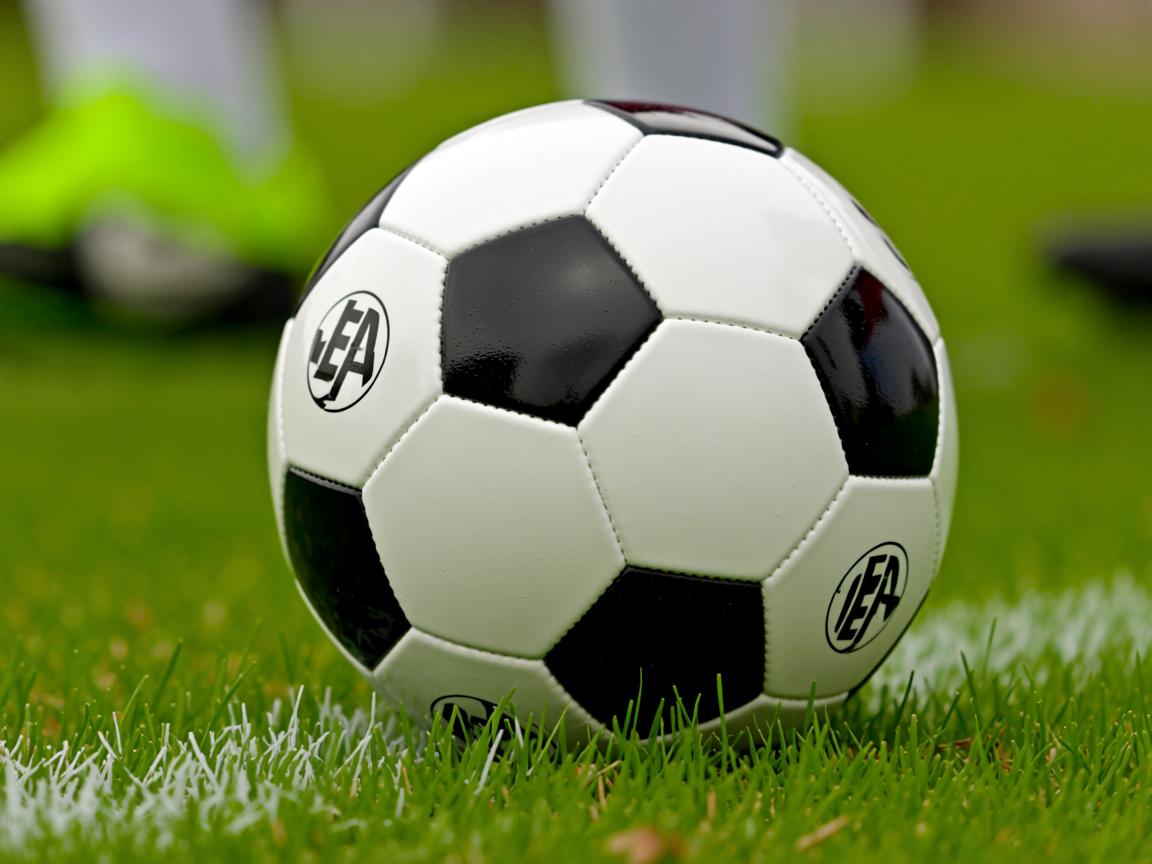 九游娱乐官网-博卡主场环境改造推动商业发展,博卡公司地址 第2张